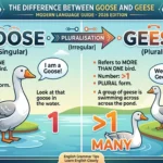 difference between goose and geese